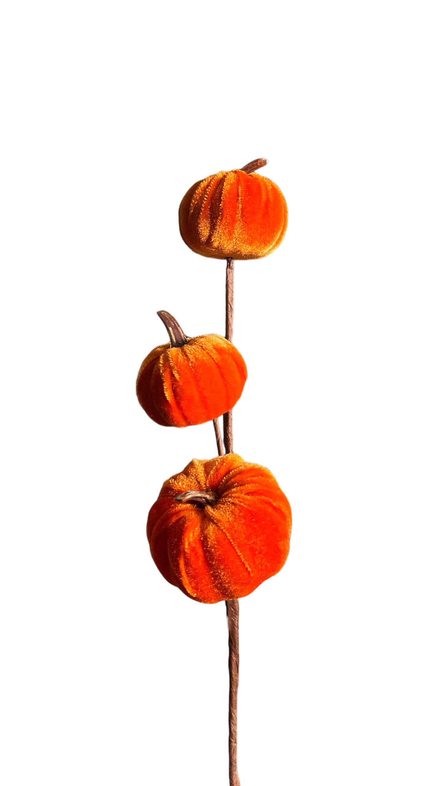 15in Velvet GoldStem Pumpkins ORANGE