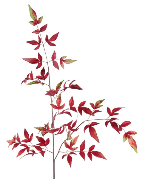 42in Glitter Nandina RED/GREEN/GO
