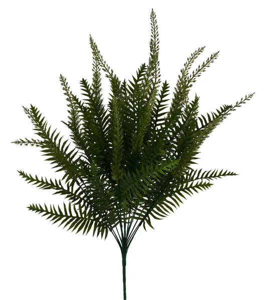 23in Multi Fern x18 TT Green