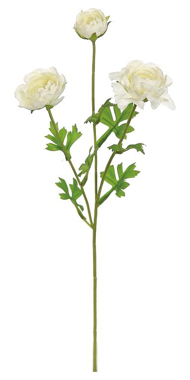 16in Cream Mini Ranunculus x3
