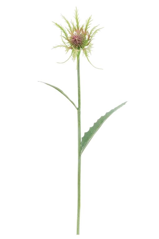 19in Red/Green Thistle