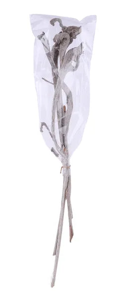 5pc Mixed Natraj Bundle WHITEWASH