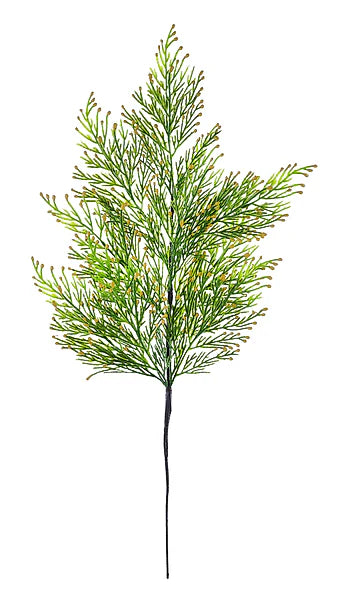 21in Incense Cedar - Premium Greenery for Wreaths and Home Decor Vickerman