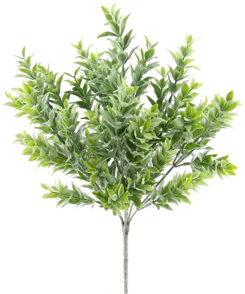 14in Boxwood Bush x7