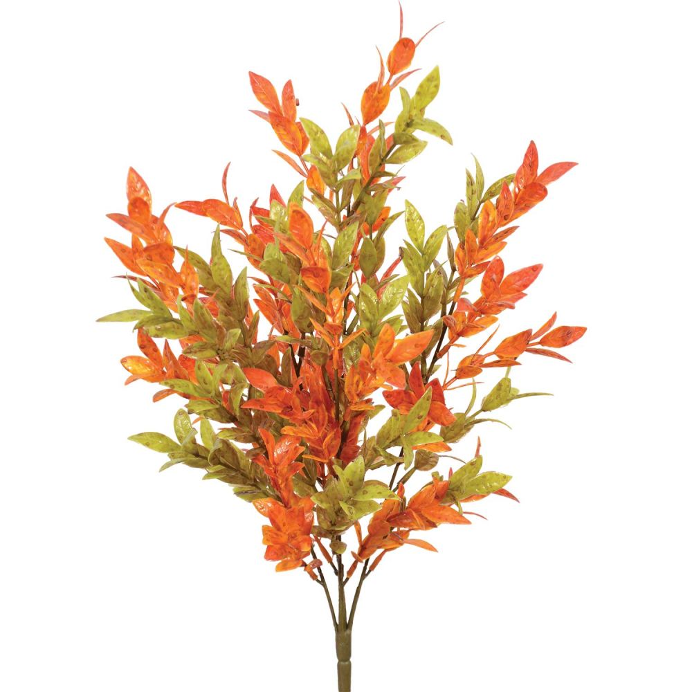 21in Ruscus Bush x5 in Green and Orange