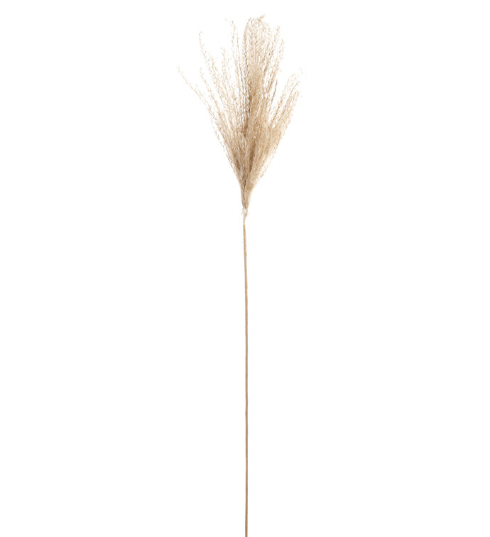 34in Pampas Grass CREAM