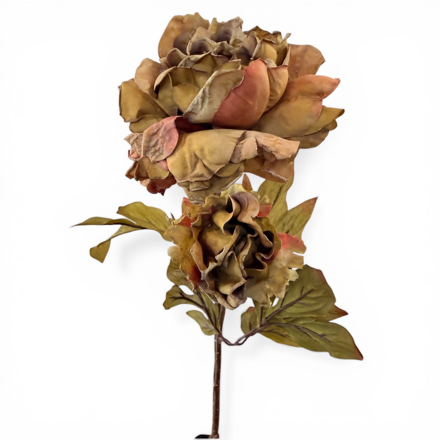 26in Brown Dried Peony and Bud