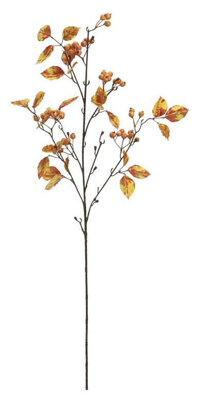 43in Rosehip Berries w/Dried Leaves