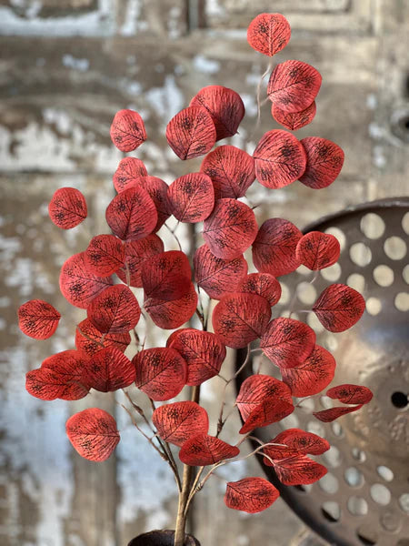 28in AUBURN Spotted Eucalyptus Spray