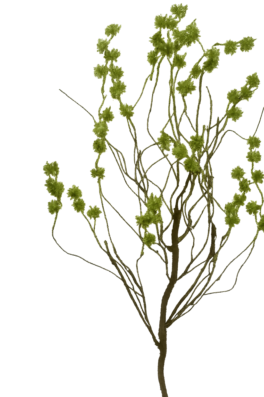 33in Green Thistle Puff Branch