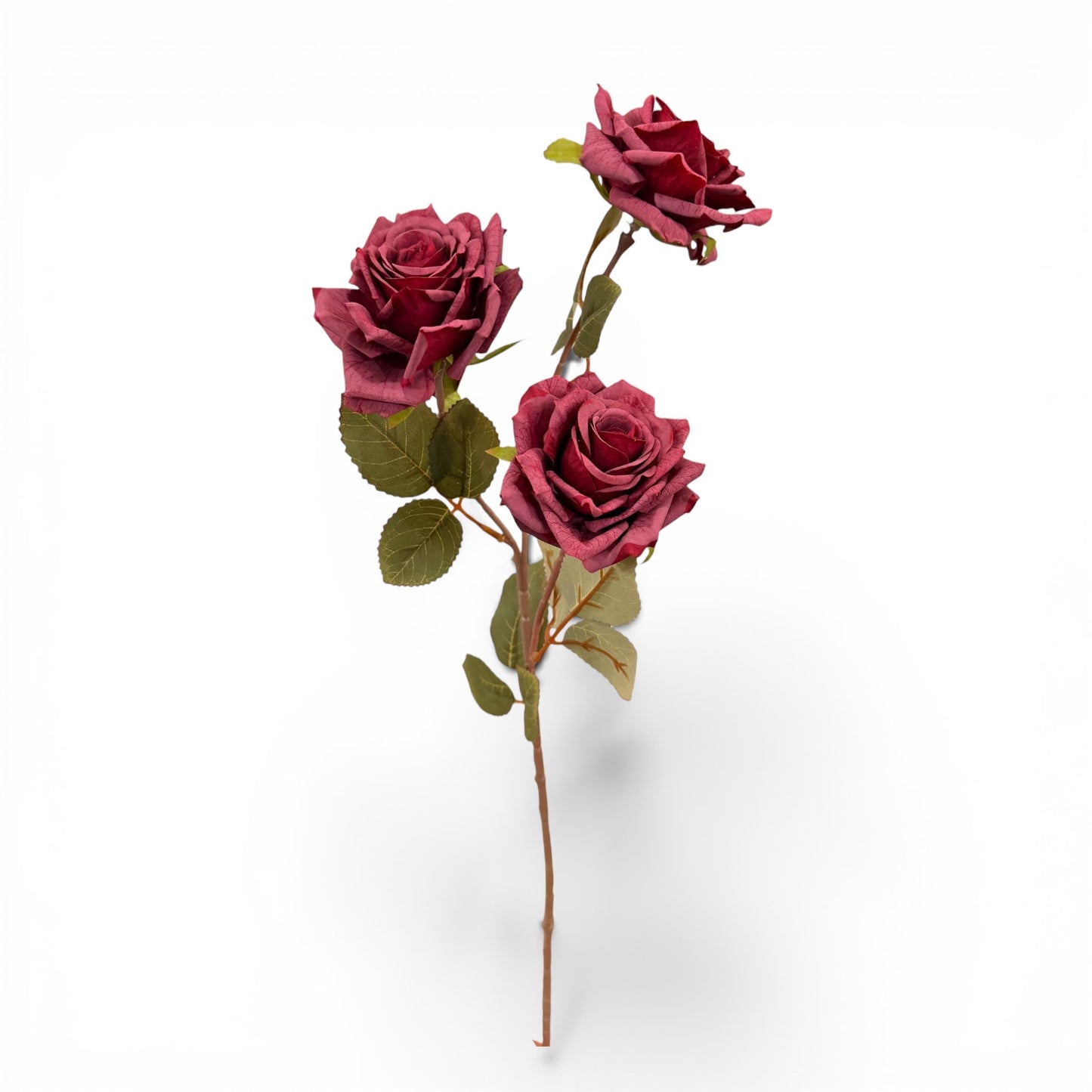 26in Dried Faded Red Rose x3