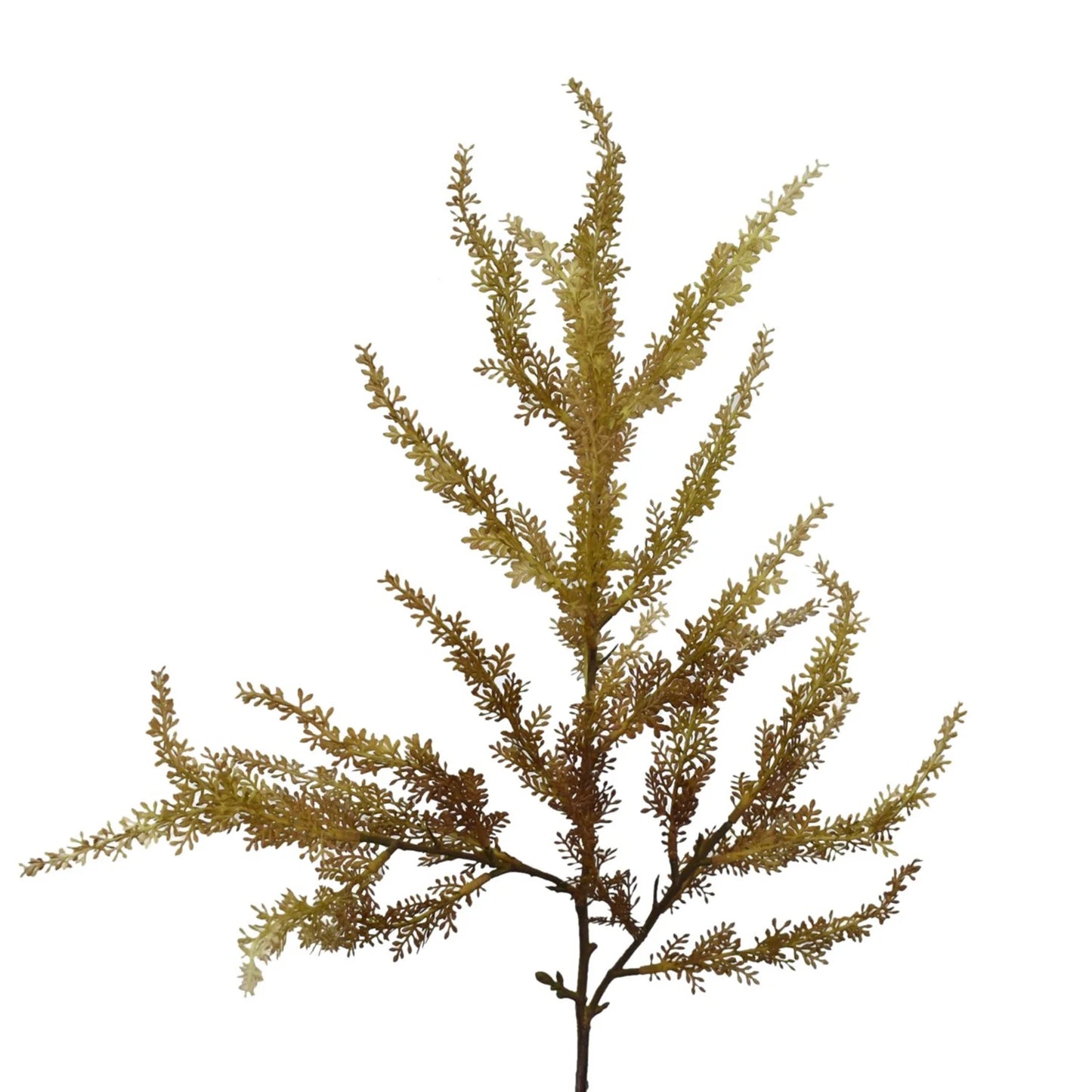 25in Wild Grass Foliage