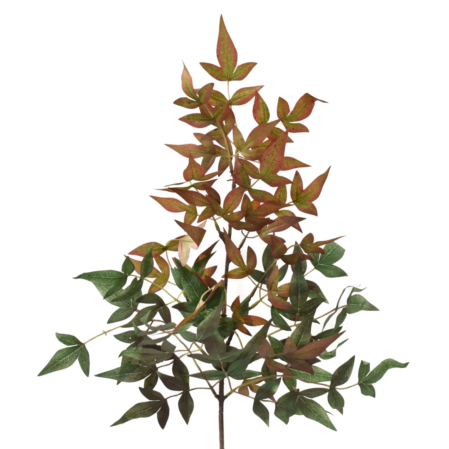 27in Wild Nandina GR/BR