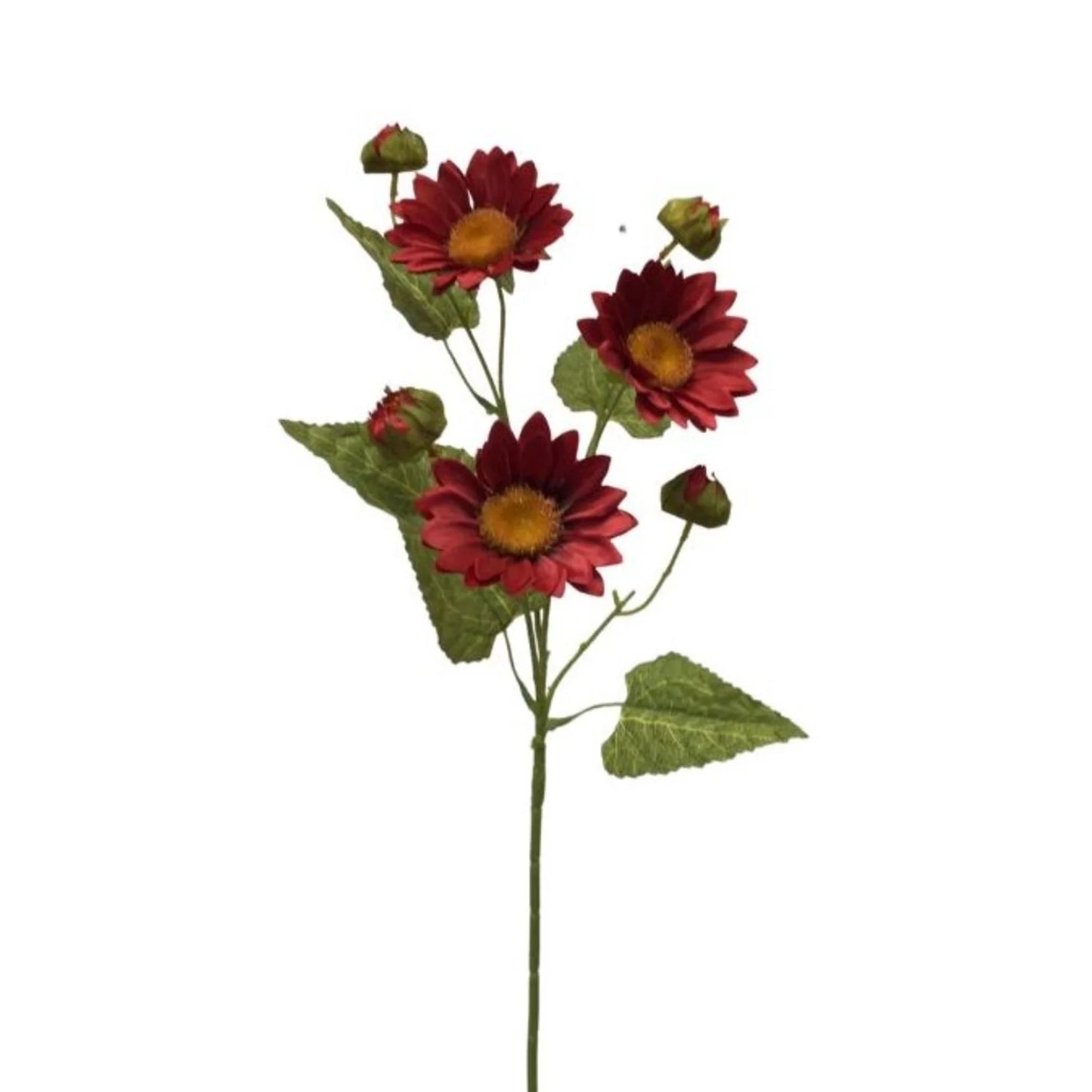 28in Wild Sunflower DK RED