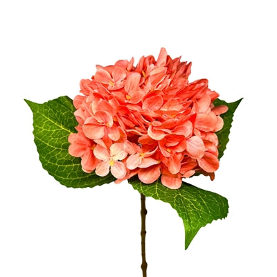 21in Full Garden Sherbet Hydrangea