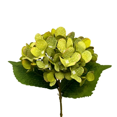 17in Green Ireland Hydrangea