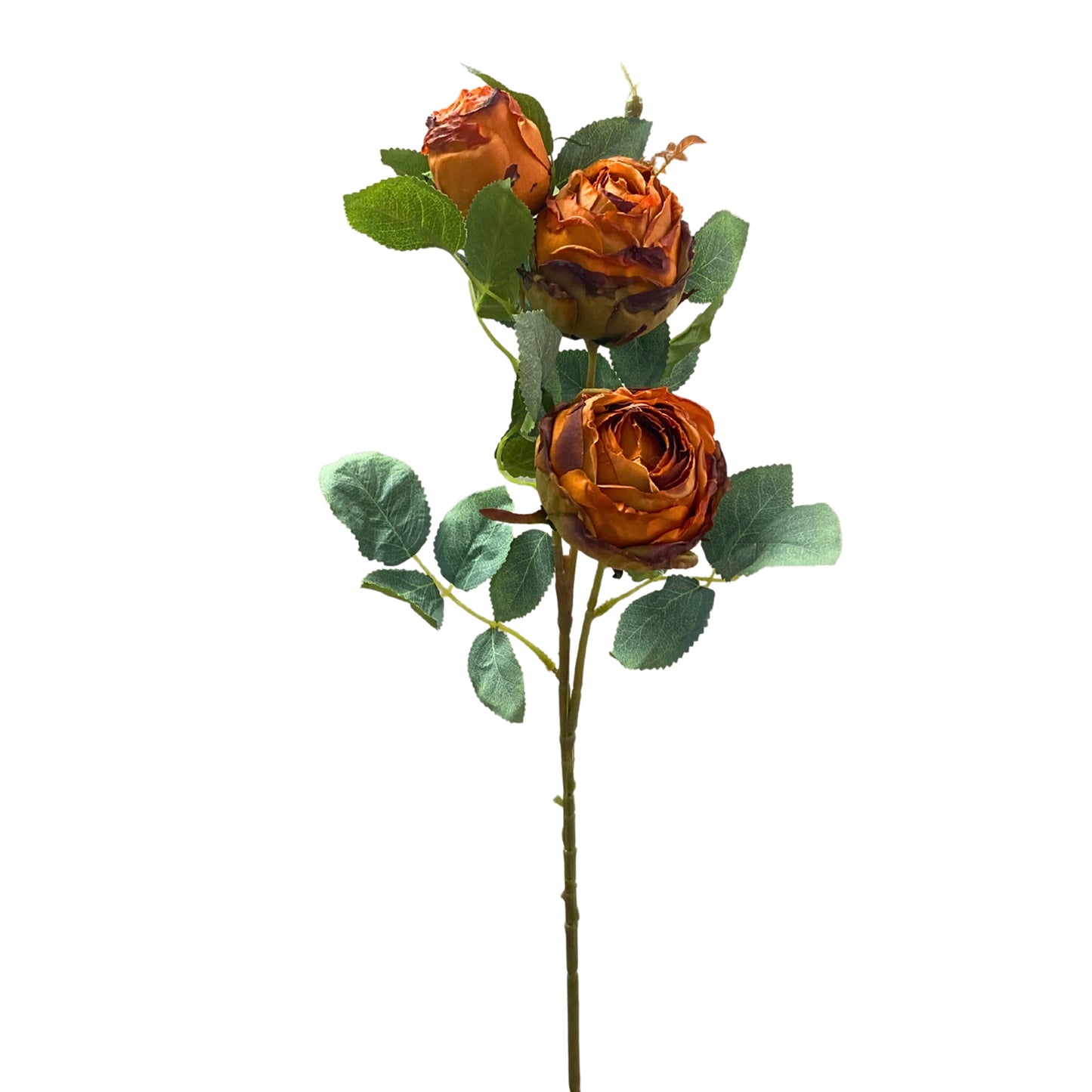 25in Garden Rose x3 ORANGE
