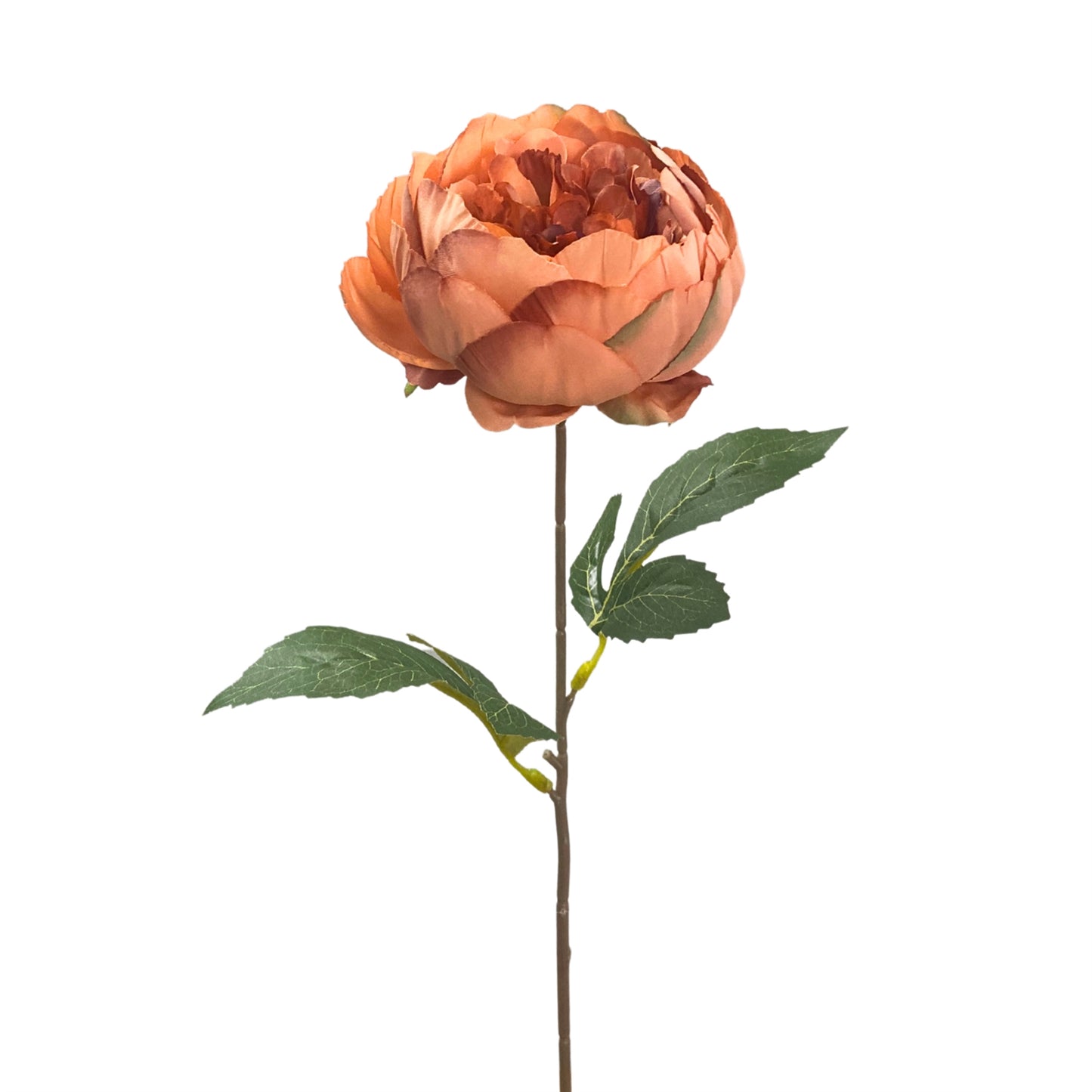 17in Garden Peony SALMON
