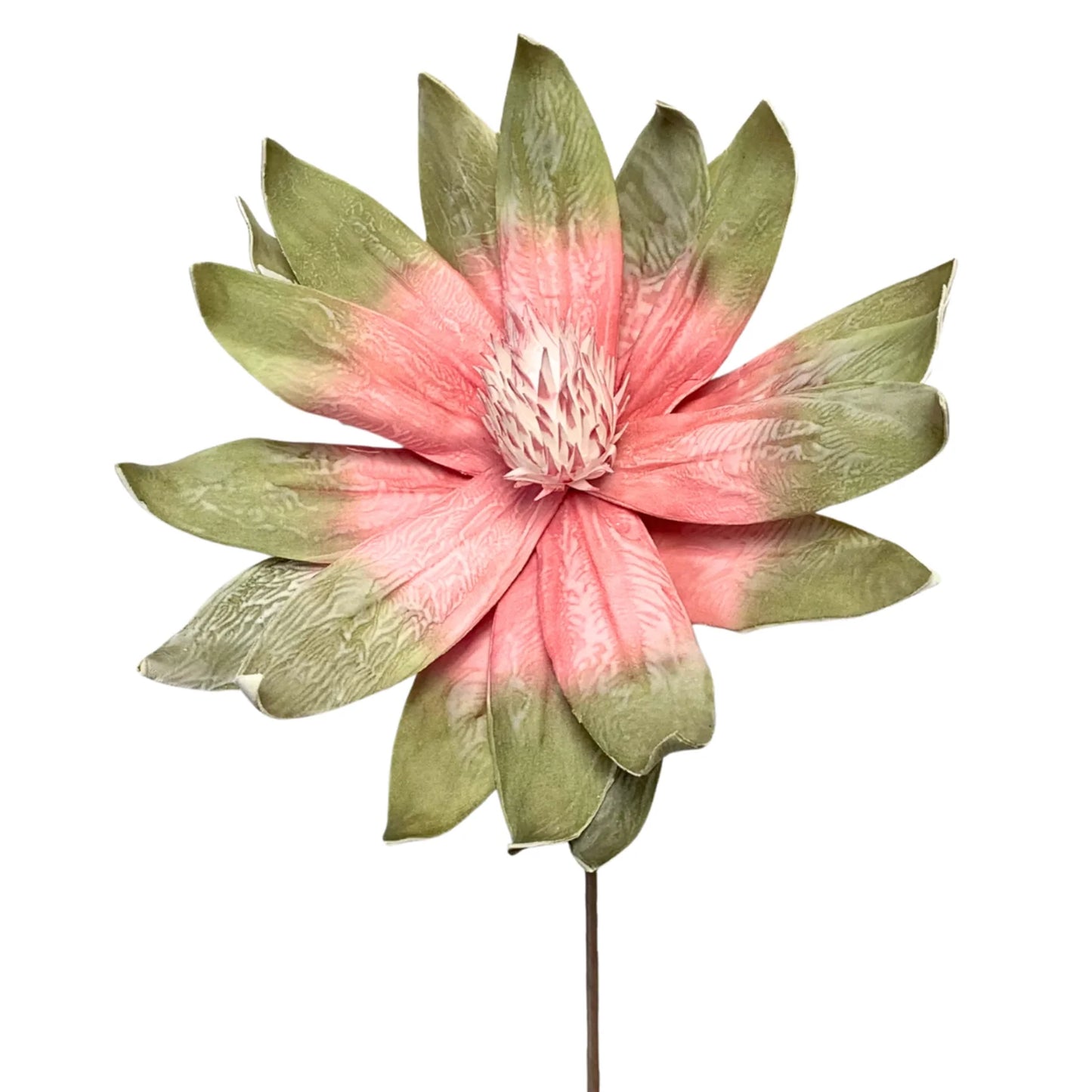 31in Pink/Green Tropical Magnolia