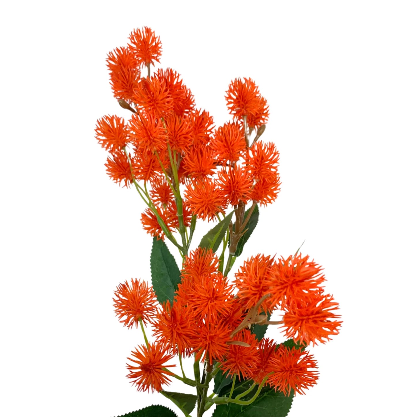 31in DK Orange Meadow Thistle