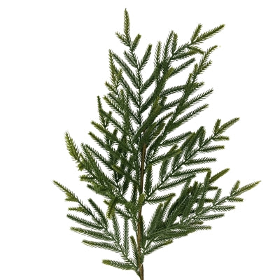 30in Soft Touch Evergreen David Christopher