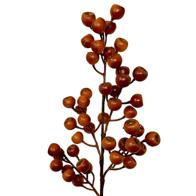 24in Orange Grand Pod Berry- Premium Greenery for Wreaths, Arrangements and Home Decor Allstate