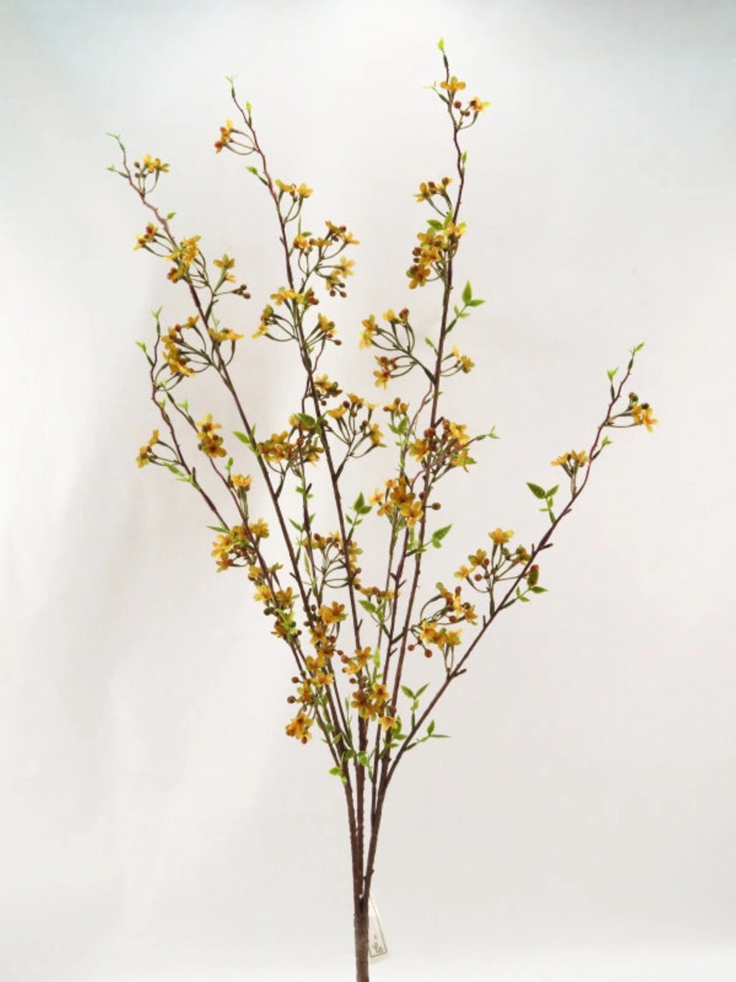 36in Waxflower LT BROWN Essentials