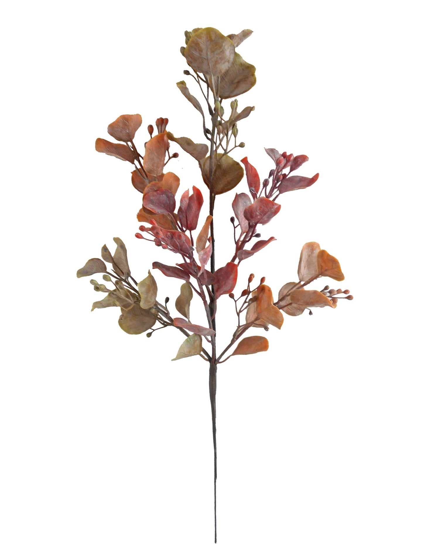 20in Sherbet Mix Leaves w/Seeds x6