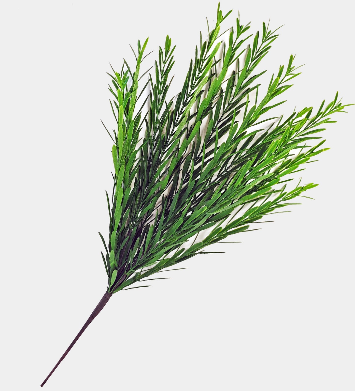 20in Irish Yew w/13 stems - Premium Greenery for Wreaths, Arrangements and Home Decor Essentials