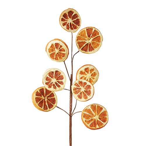 18in Orange Slice Spray x8 RAZ