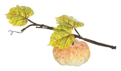 14in ORANGE/CREAM Pumpkin on Vine Select Artificial