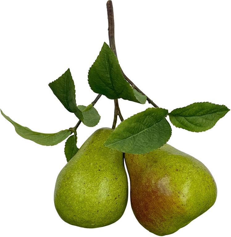 10in Green Pear Fruit Branch