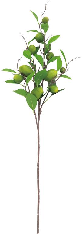 35in Lime Fruit Spray w/Leaves