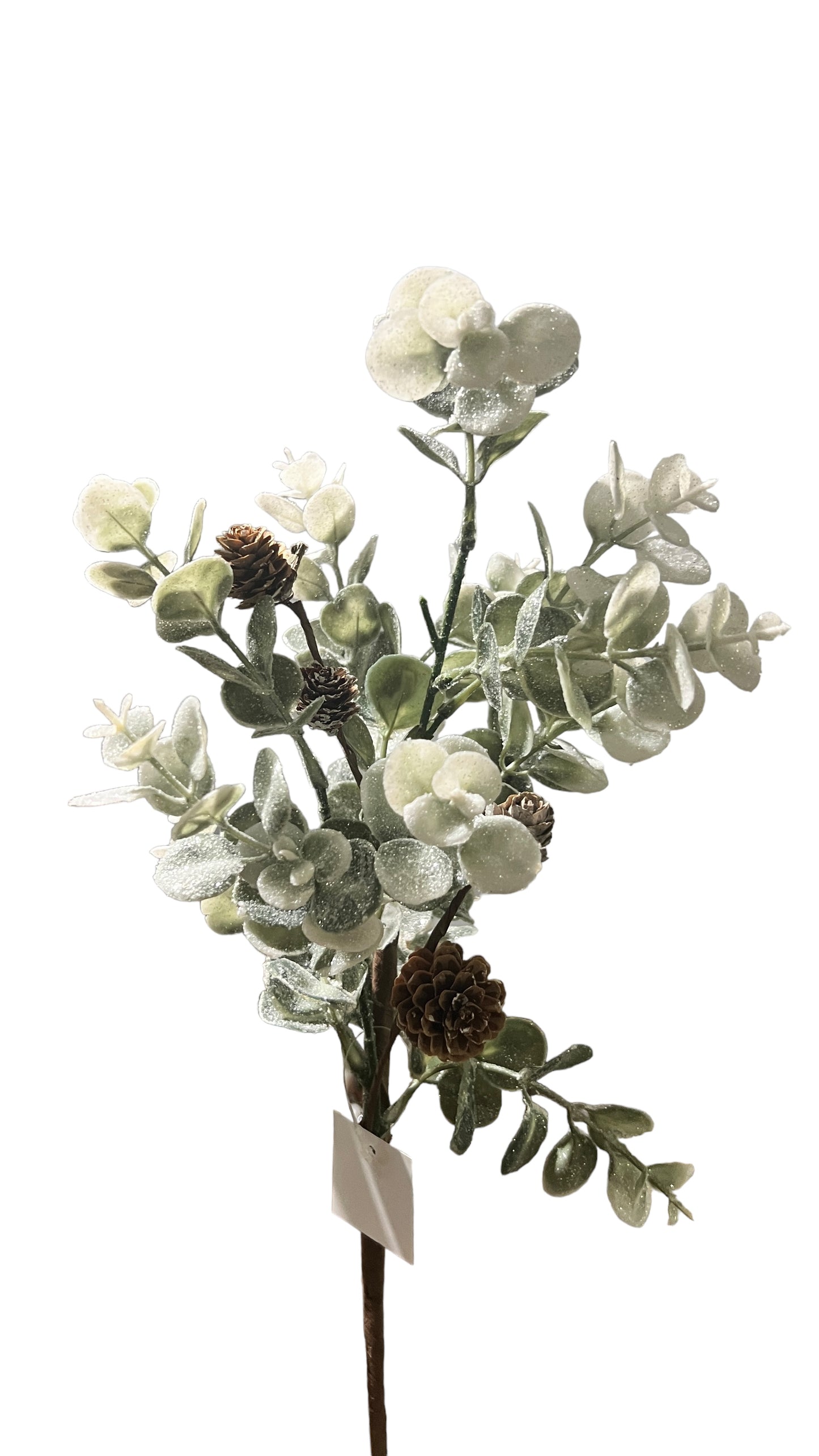 17in Sparkle Sage Eucalyptus & BirchCones Impressive
