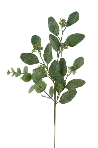 EVENT 24in Apple Leaf Eucalyptus Craig Bachman