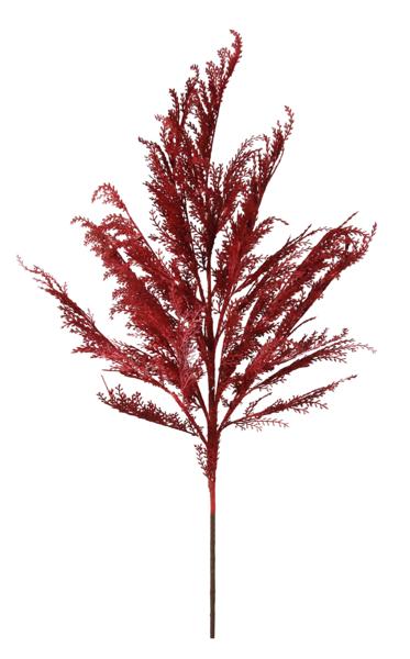 49in Giant Pampas Grass BURGUNDY
