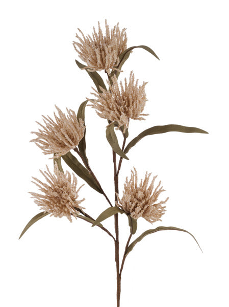 25in Spider Mum BEIGE