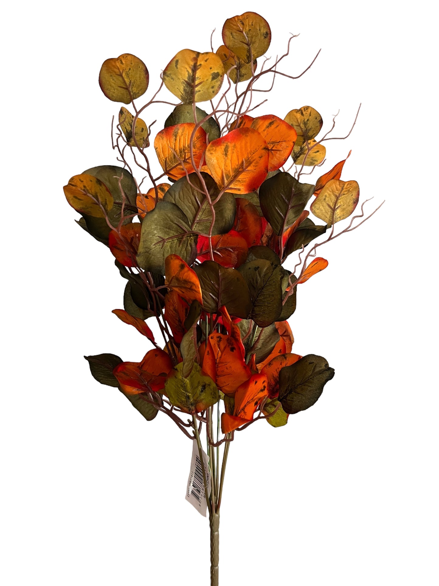 Fall Eucalyptus Leaves