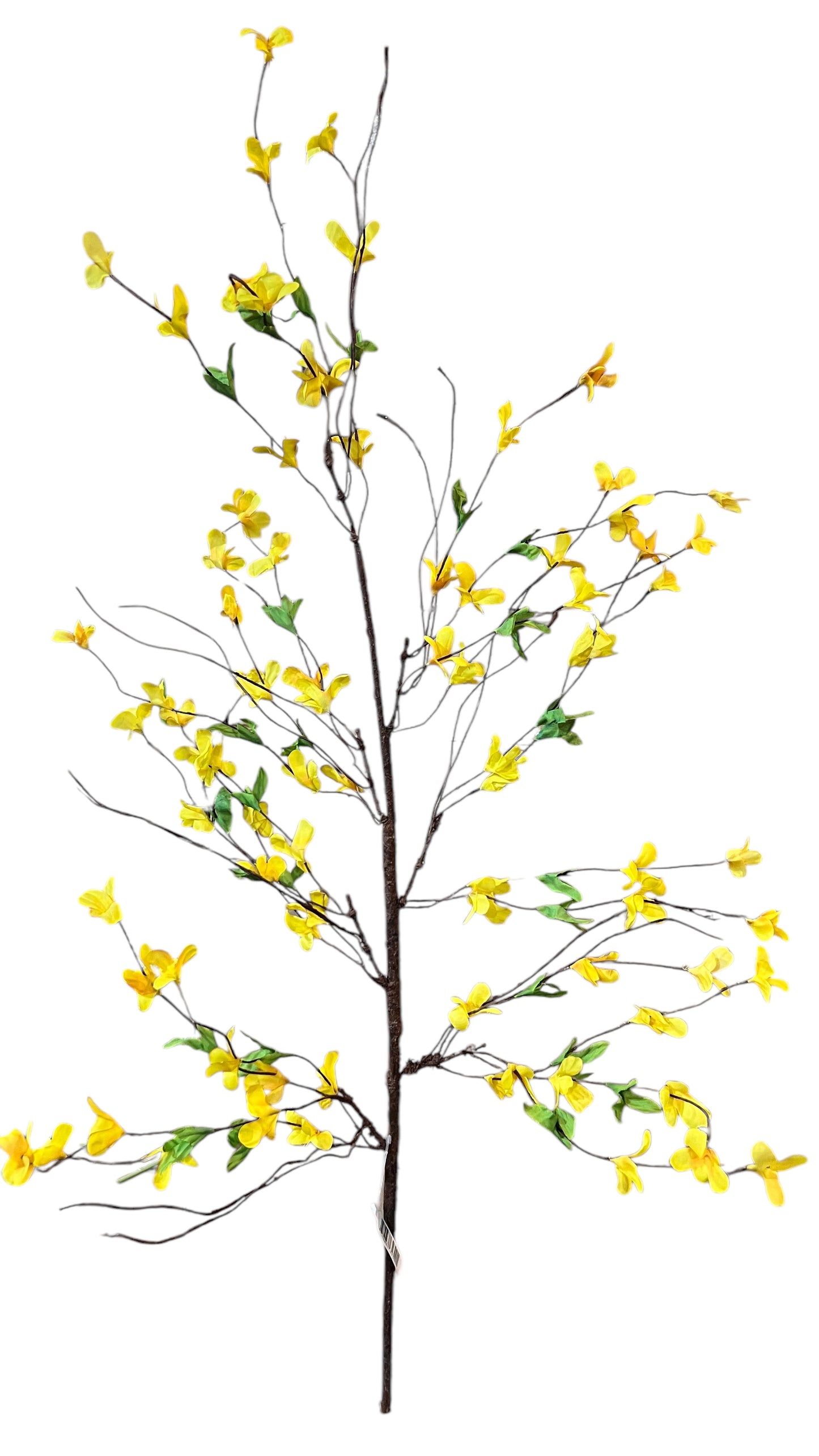 36in Forsythia YELLOW