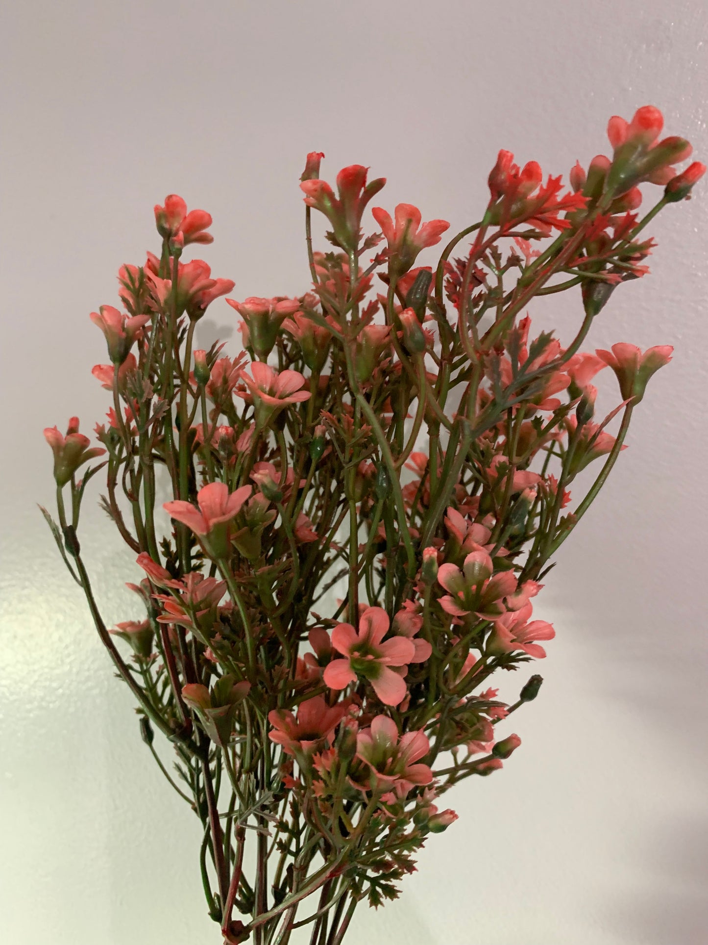 14in Waxflower x5 MAUVE
