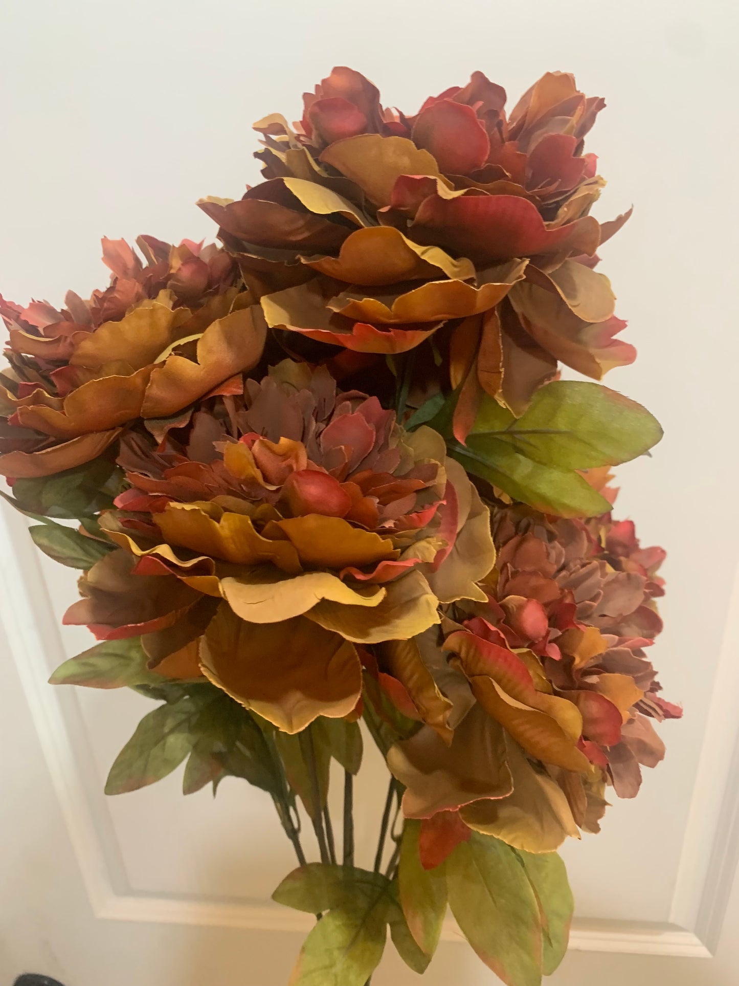 26in Peony MOCHA x9