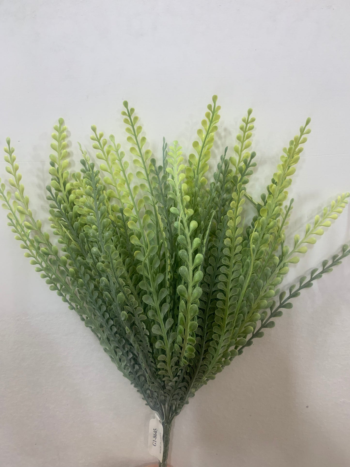 15in Green/Cream Bead Grass