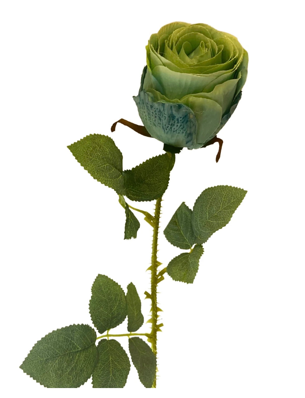 27in Garden Rose Stem AQUA