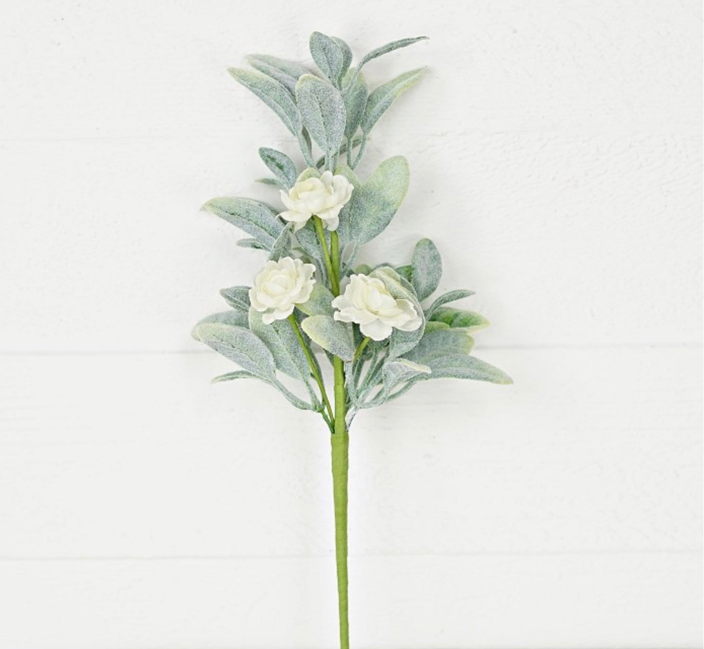 16in Lambs Ear & CREAM Ranunculus