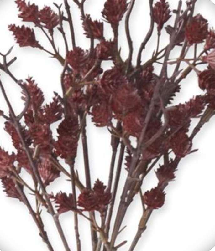 47in Burgundy Straw Flower - Premium Greenery for Wreaths and Home Decor K&K