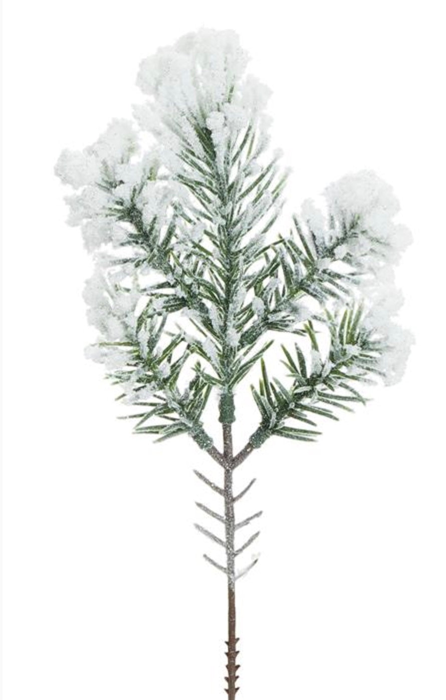 SET OF 6 10in Snowy Noble Pine