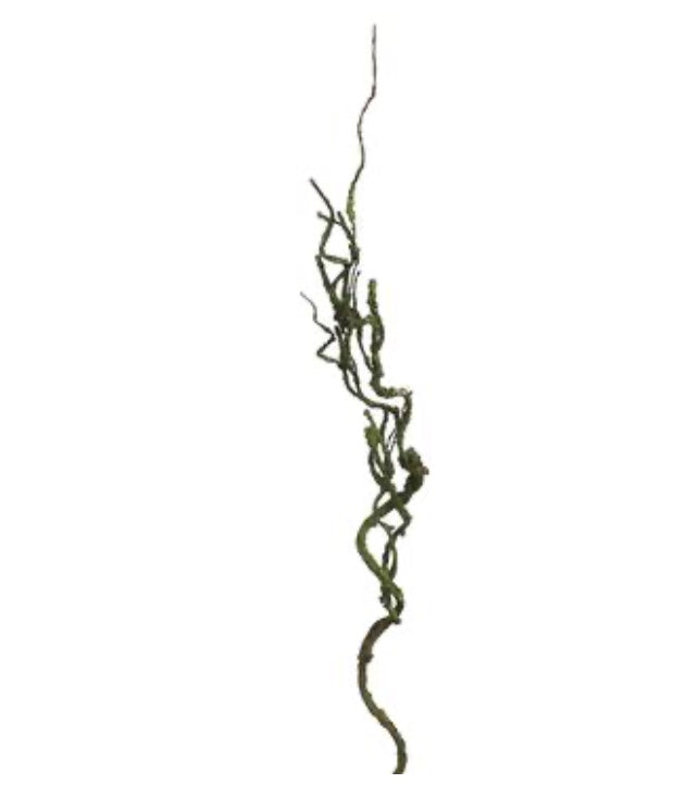 26in Brown Curly Twig Branch www