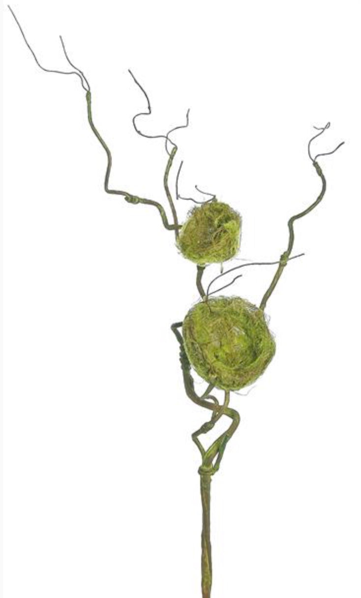 36in Twig Vine w/TWO BIRD NESTS