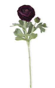 19in Real Touch Dark Purple Ranunculus