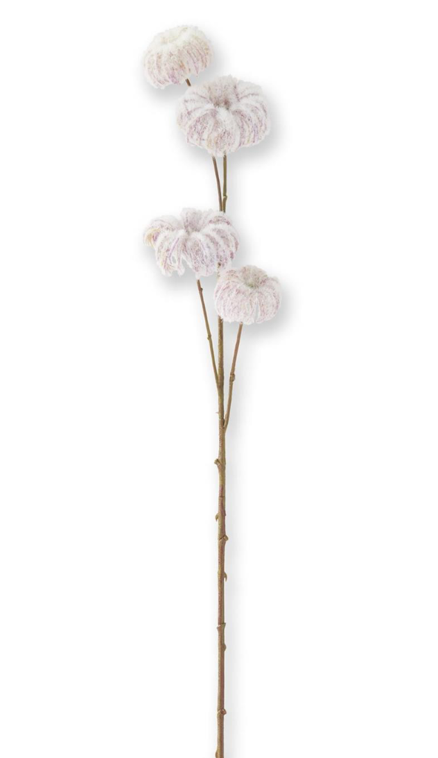 25in Cream Purple Flocked Clematis Pods